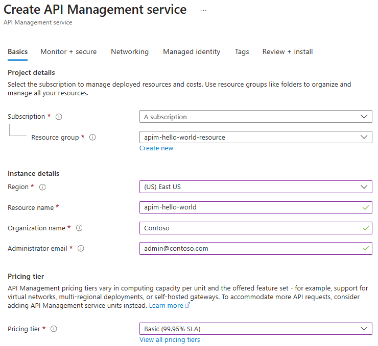 Screenshot der grundlegenden Einstellungen zum Erstellen einer API-Verwaltungsinstanz.
