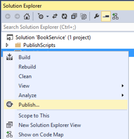 Screenshot des Projektmappen-Explorer-Fensters, in dem das Projekt mit der rechten Maustaste angeklickt wurde und das Element 
