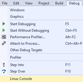 Screenshot of the Linux Console menu option.