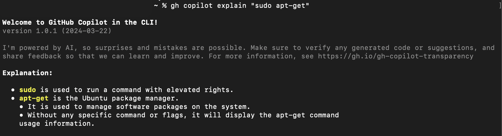 Screenshot of Copilot CLI explaining a command in interactive mode.