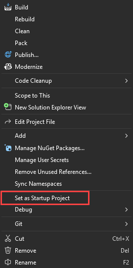 Screenshot that shows setting the startup project.