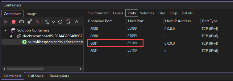Screenshot showing Docker container ports.