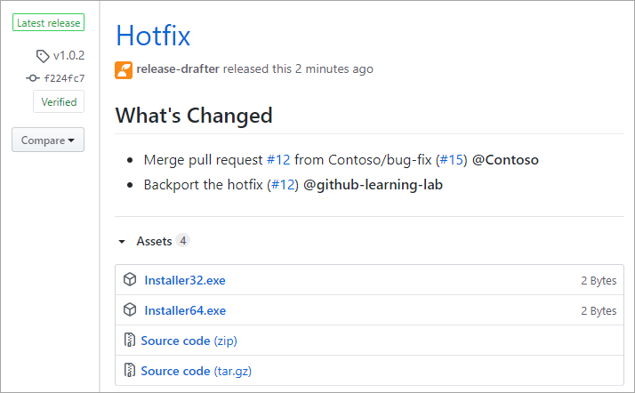Captura de pantalla de la visualización de una versión de GitHub.