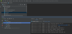 Screenshot che mostra un esempio di esecuzione di un contenitore in PyCharm.
