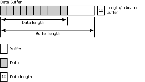 Buffer dei dati e buffer di lunghezza/indicatore