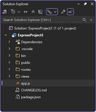 Schermata del nuovo progetto aperto in Esplora soluzioni in Visual Studio.
