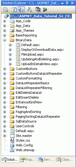 Lägg till ASP.NET-sidorna för självstudierna för binära Data-Related